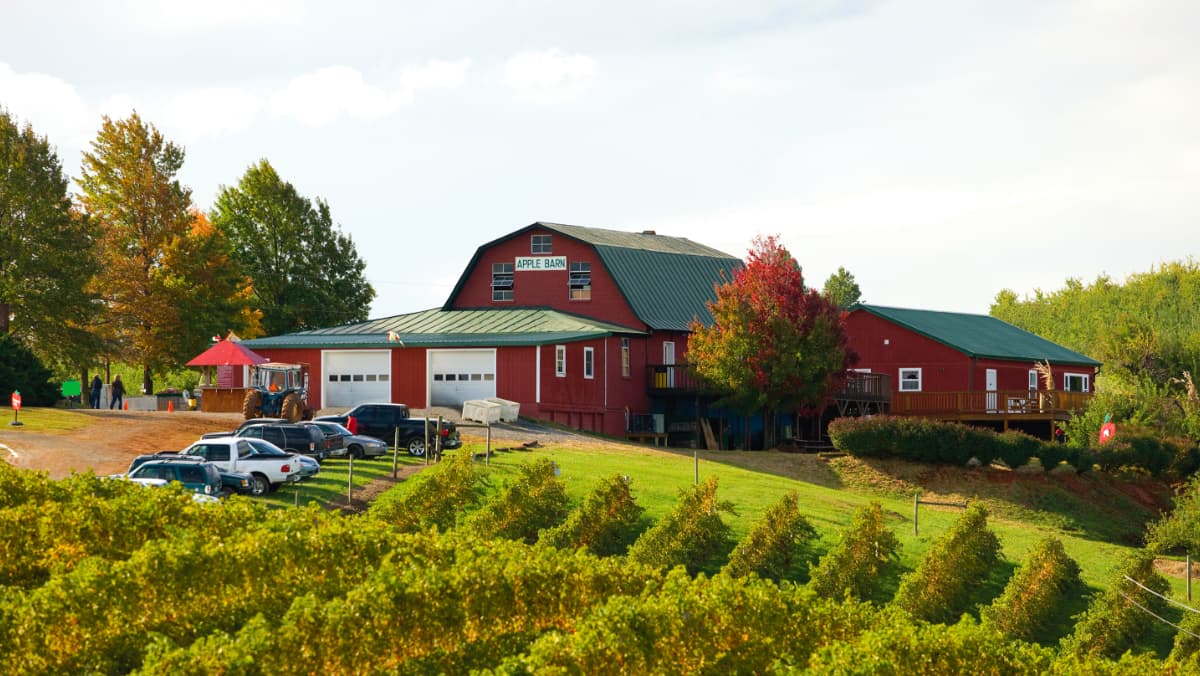 Carter Mountain Orchard