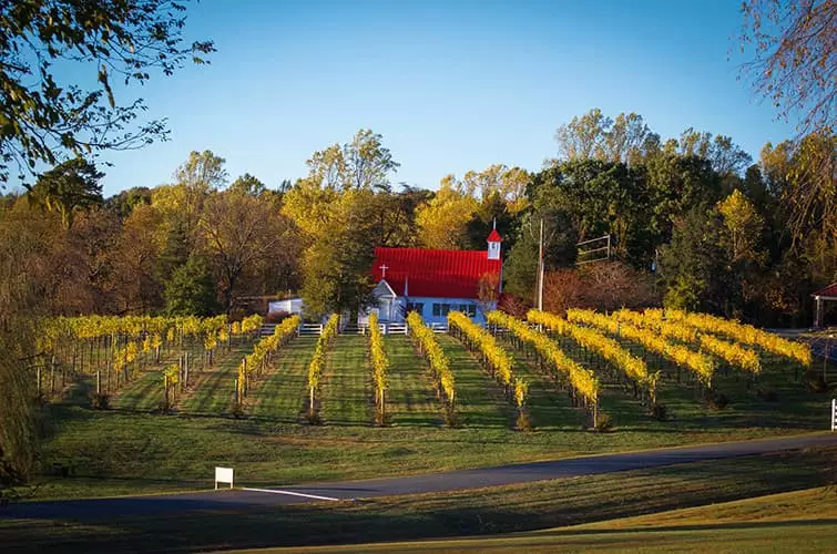 Jefferson Vineyards